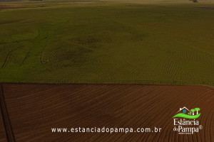 Fazenda com 1496 ha em Cachoeira do Sul localidade Irapu�.00_12_35_42.Quadro042_01969987526cf4c591a2d06cd836d550b2364b1a.jpg